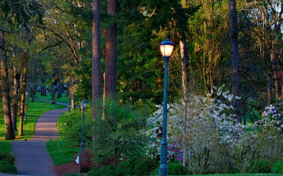 Bush's Pasture Park, United States